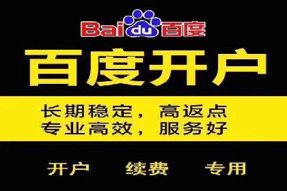 SEM代理服务：案例分享，效果显著